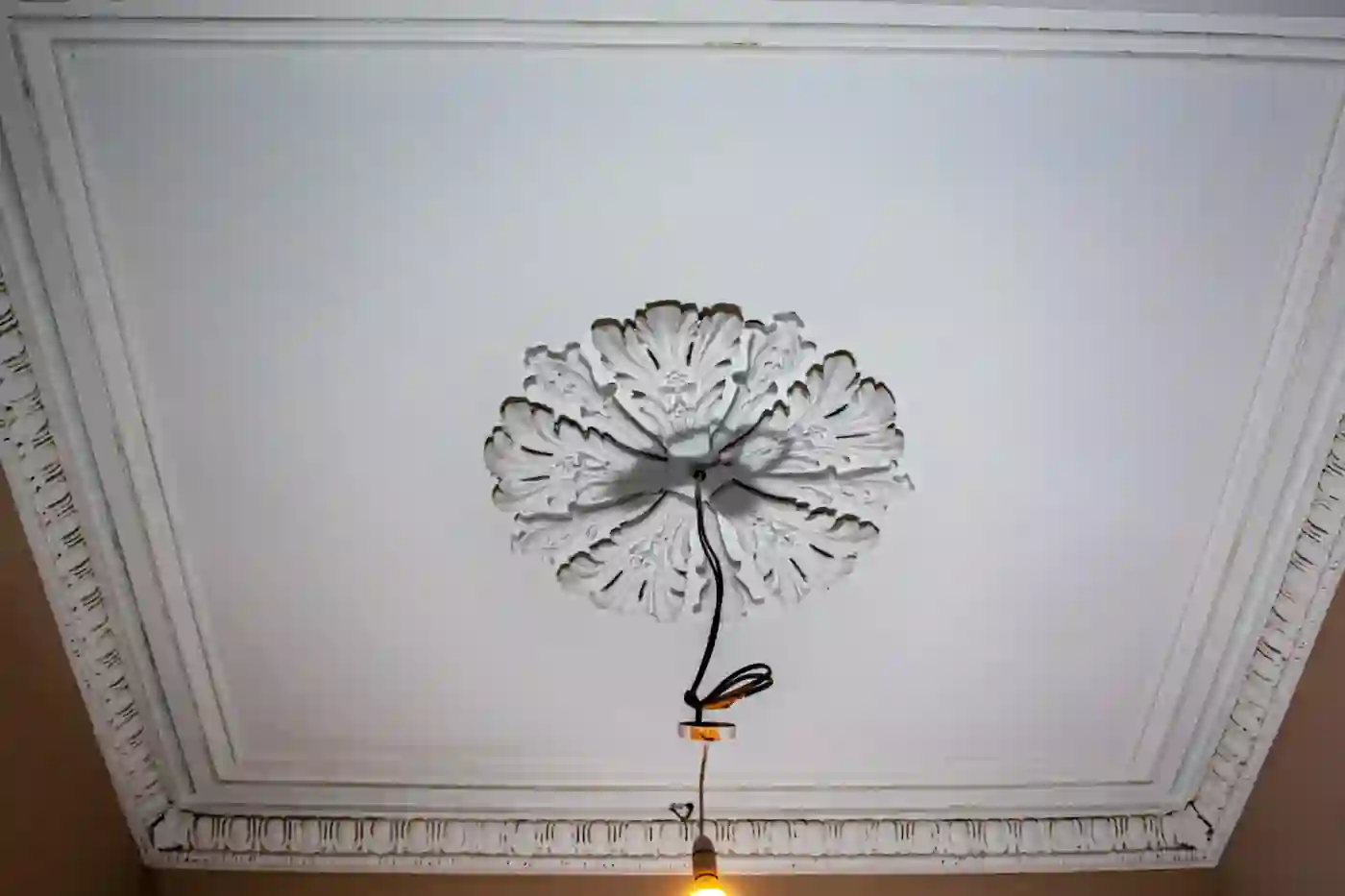 Gallery image for Cornice repair and ceiling rose installation in Finnieston, Glasgow: Heather Plaster Ceiling Rose fitted